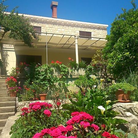 Antun Mozara Family House Bed & Breakfast Slano Eksteriør bilde