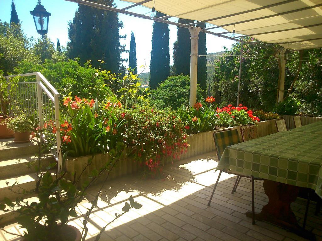 Antun Mozara Family House Bed & Breakfast Slano Eksteriør bilde