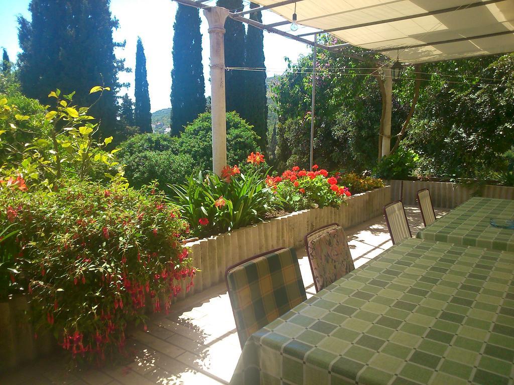 Antun Mozara Family House Bed & Breakfast Slano Eksteriør bilde