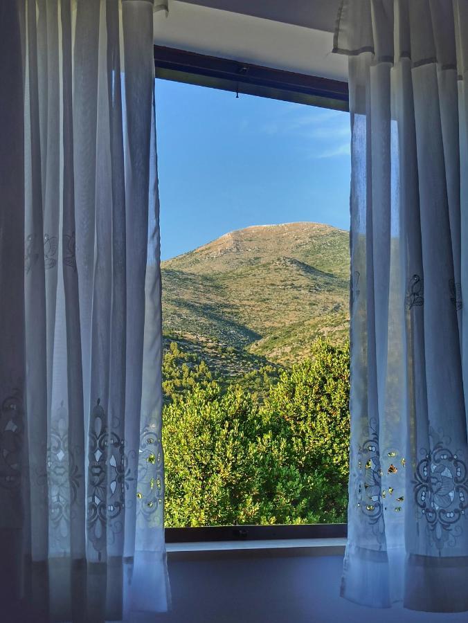 Antun Mozara Family House Bed & Breakfast Slano Eksteriør bilde