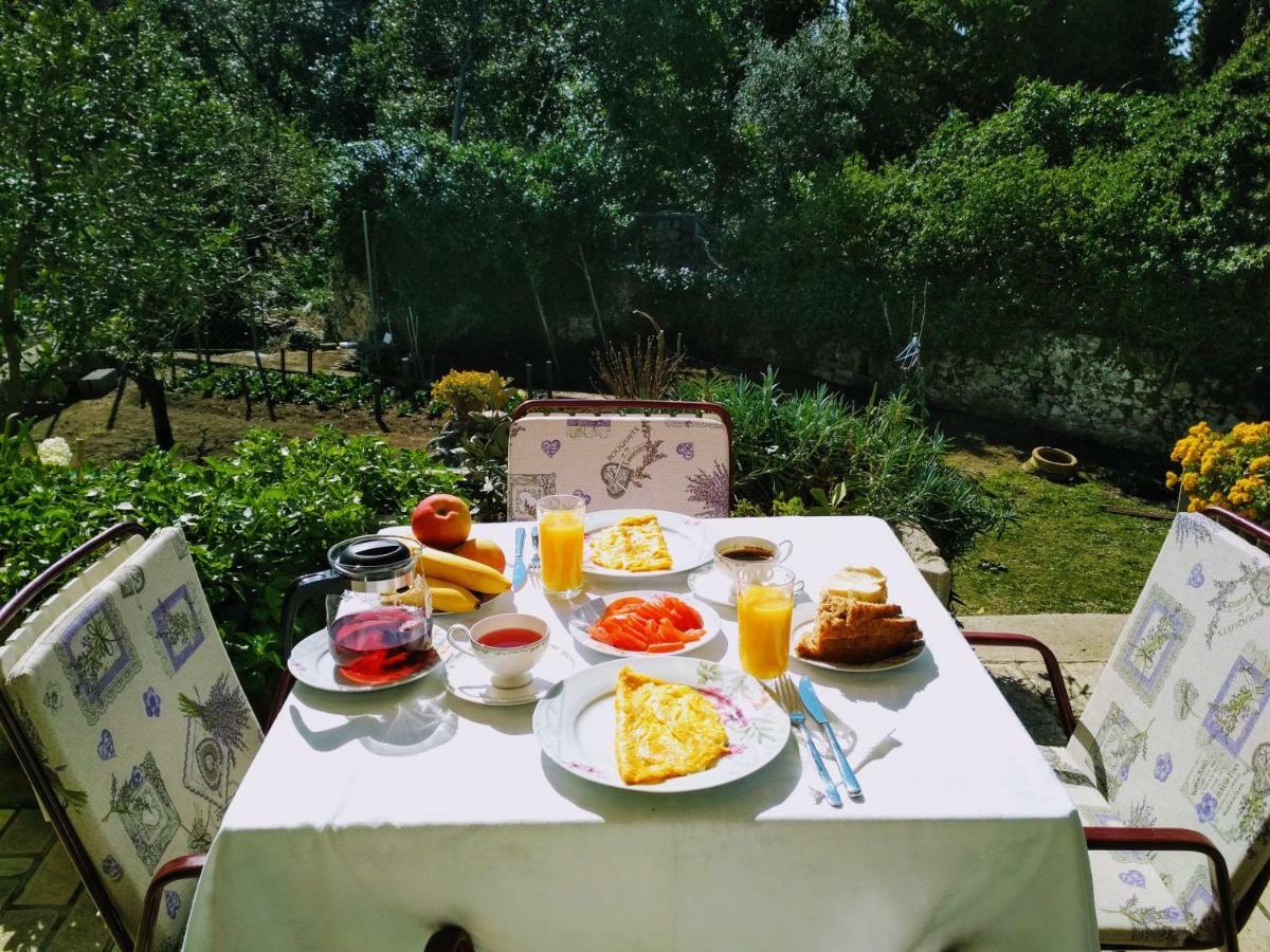 Antun Mozara Family House Bed & Breakfast Slano Eksteriør bilde