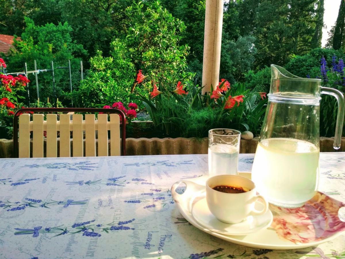 Antun Mozara Family House Bed & Breakfast Slano Eksteriør bilde