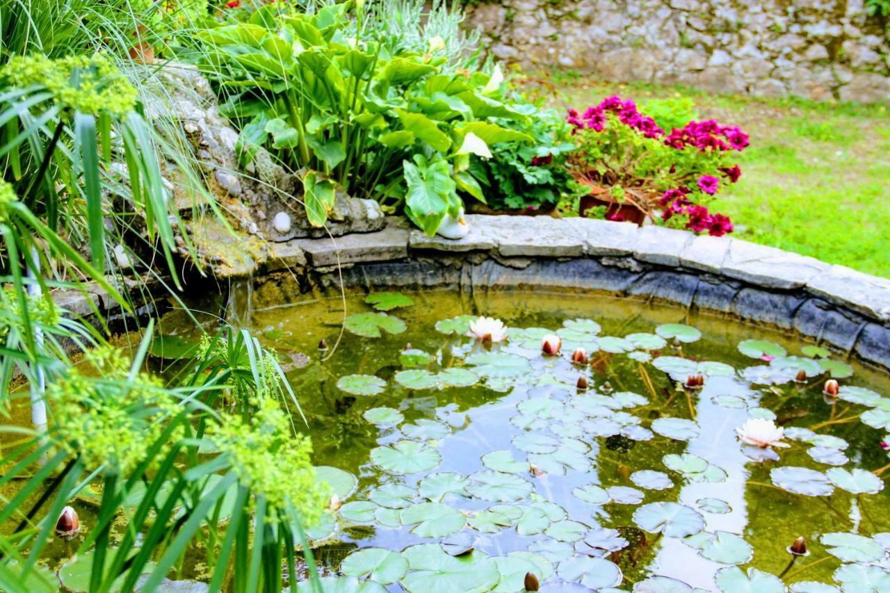 Antun Mozara Family House Bed & Breakfast Slano Eksteriør bilde